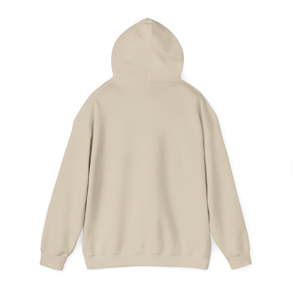 Hoodie — "Hello TSA, There is a Bomb in My Ass" Novelty Statement Hoodie