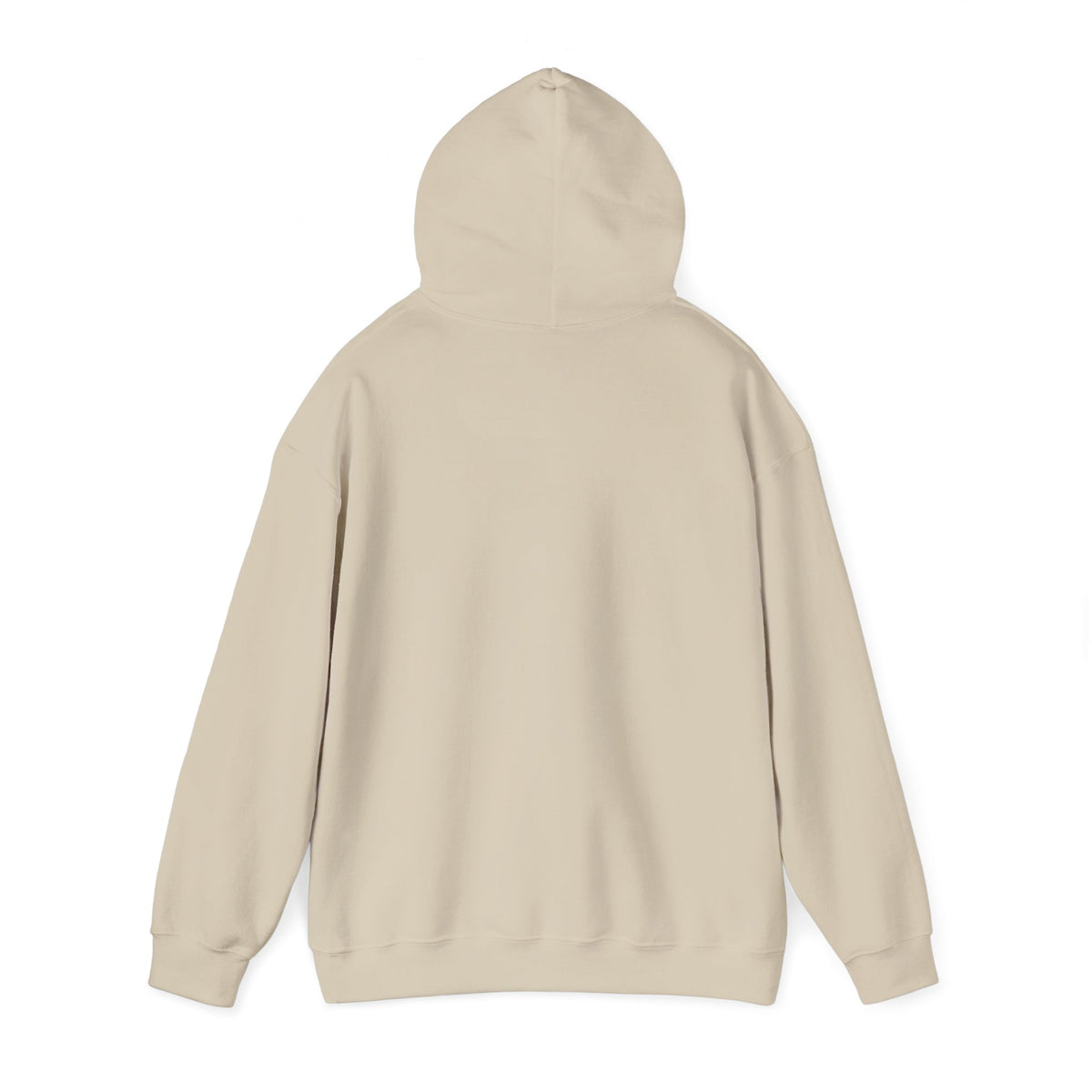Hoodie — "Hello TSA, There is a Bomb in My Ass" Novelty Statement Hoodie