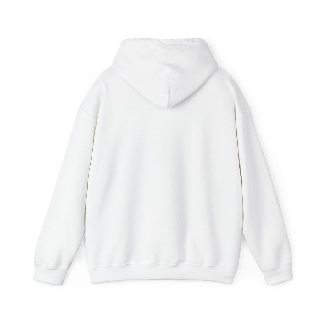 Hoodie — "Hello TSA, There is a Bomb in My Ass" Novelty Statement Hoodie