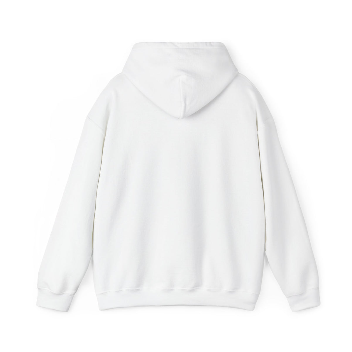 Hoodie — "Hello TSA, There is a Bomb in My Ass" Novelty Statement Hoodie