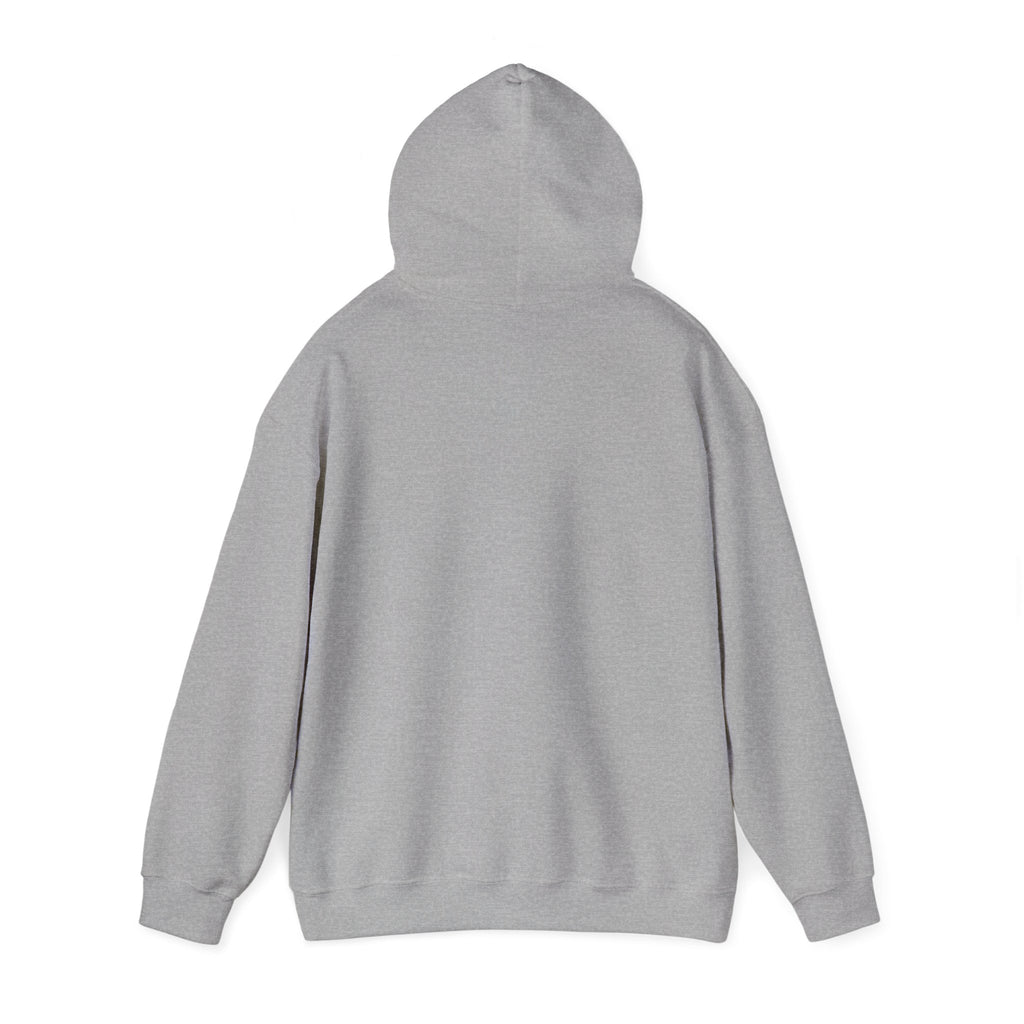 Hoodie — "Hello TSA, There is a Bomb in My Ass" Novelty Statement Hoodie