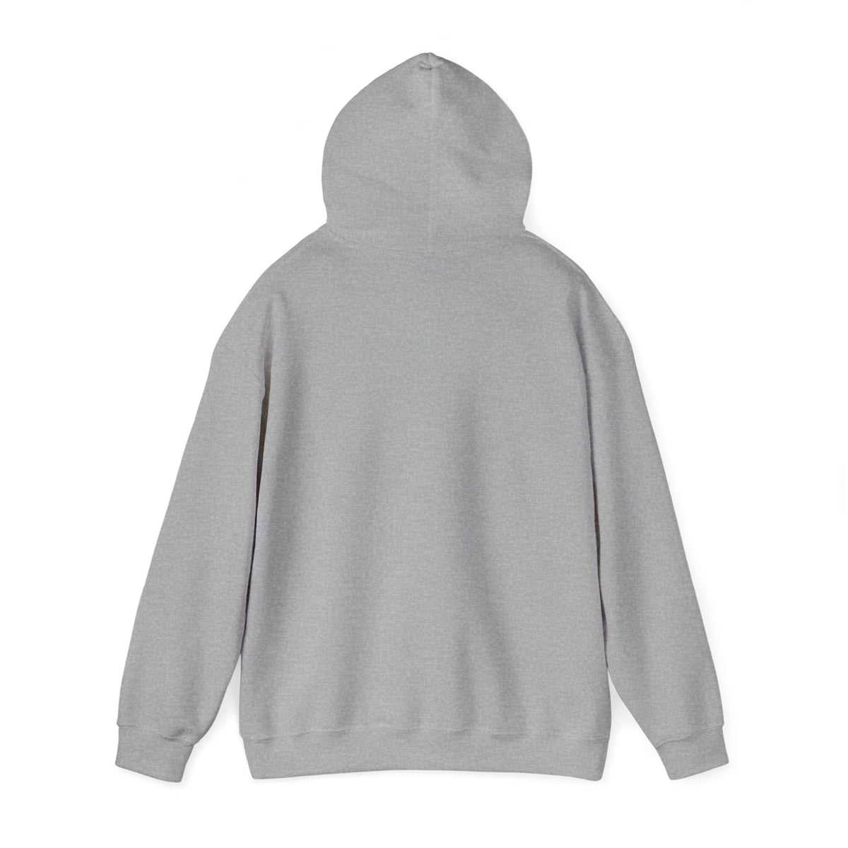 Hoodie — "Hello TSA, There is a Bomb in My Ass" Novelty Statement Hoodie