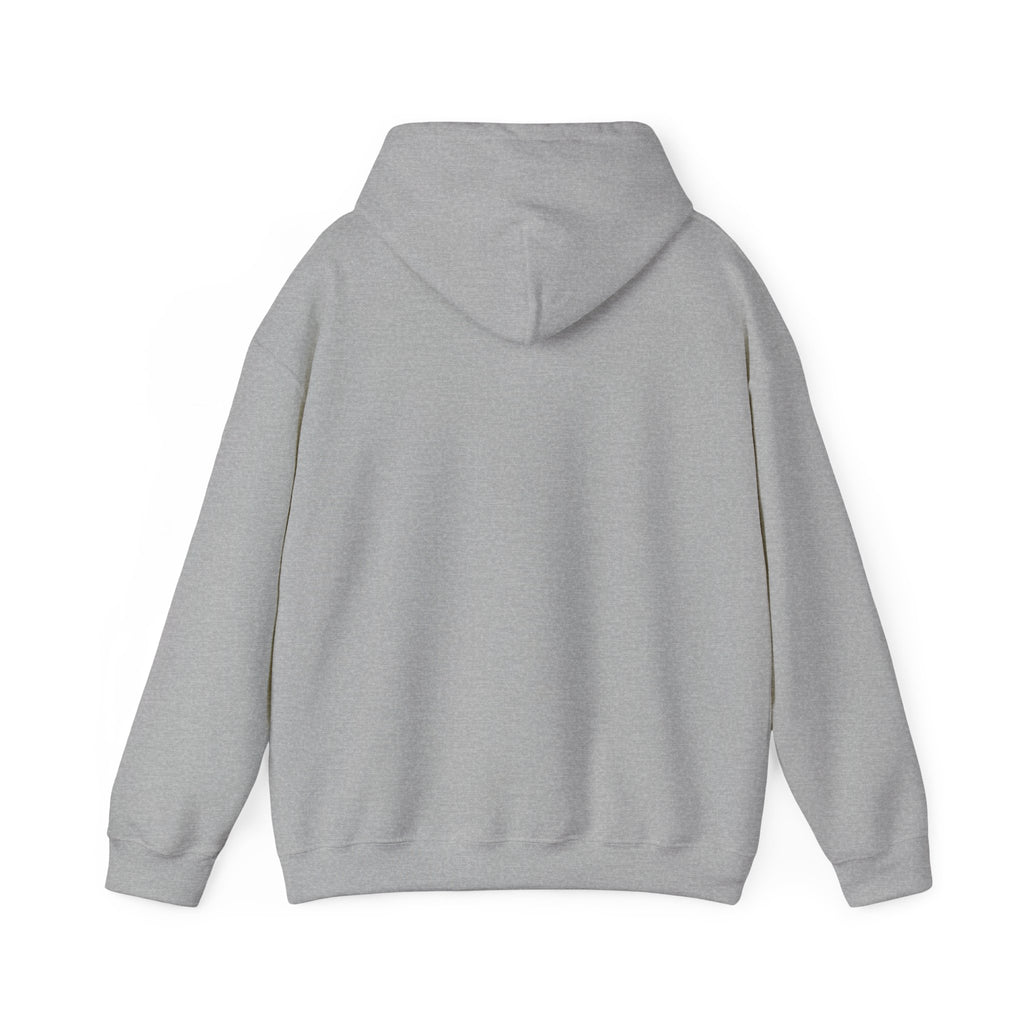 Hoodie — "Hello TSA, There is a Bomb in My Ass" Novelty Statement Hoodie