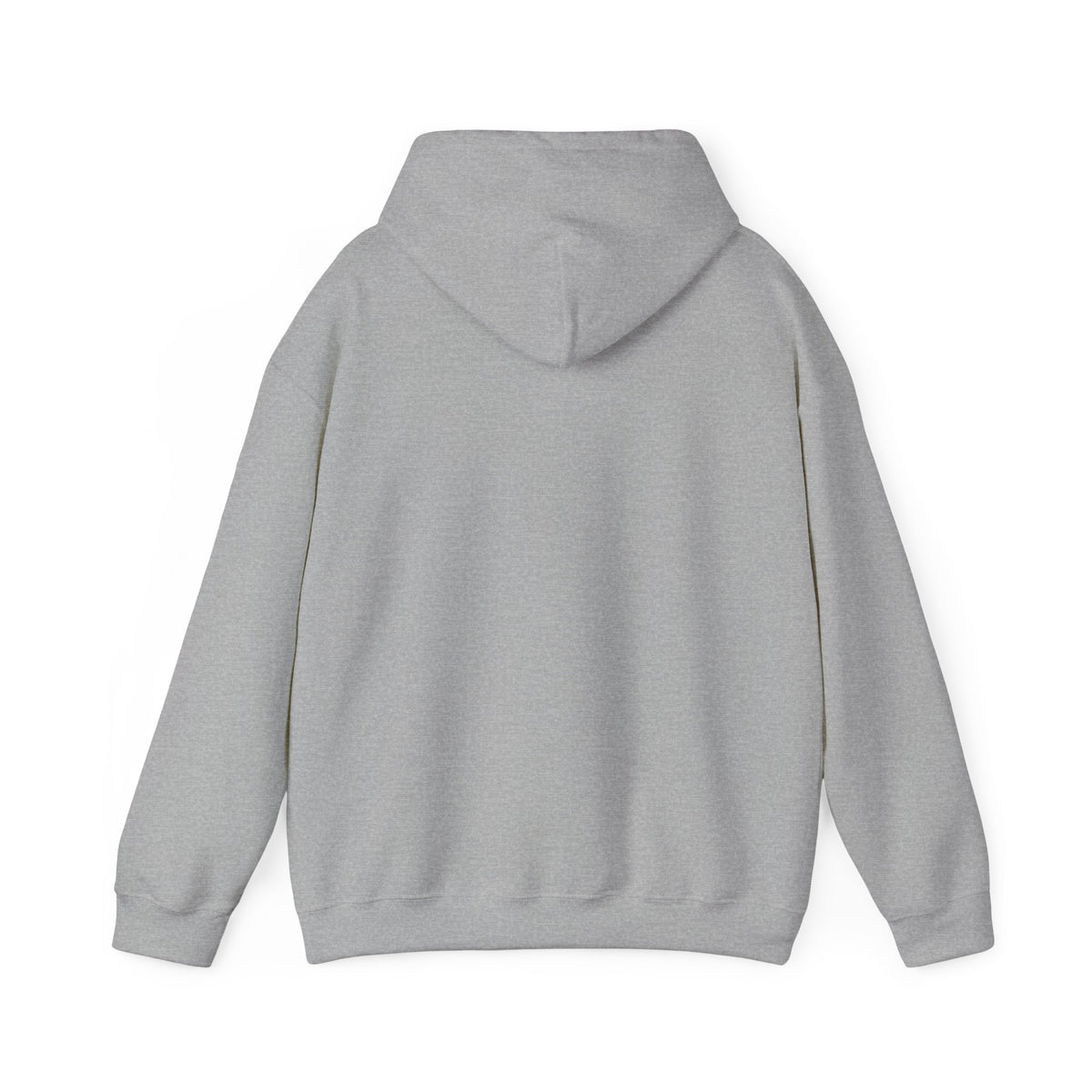 Hoodie — "Hello TSA, There is a Bomb in My Ass" Novelty Statement Hoodie