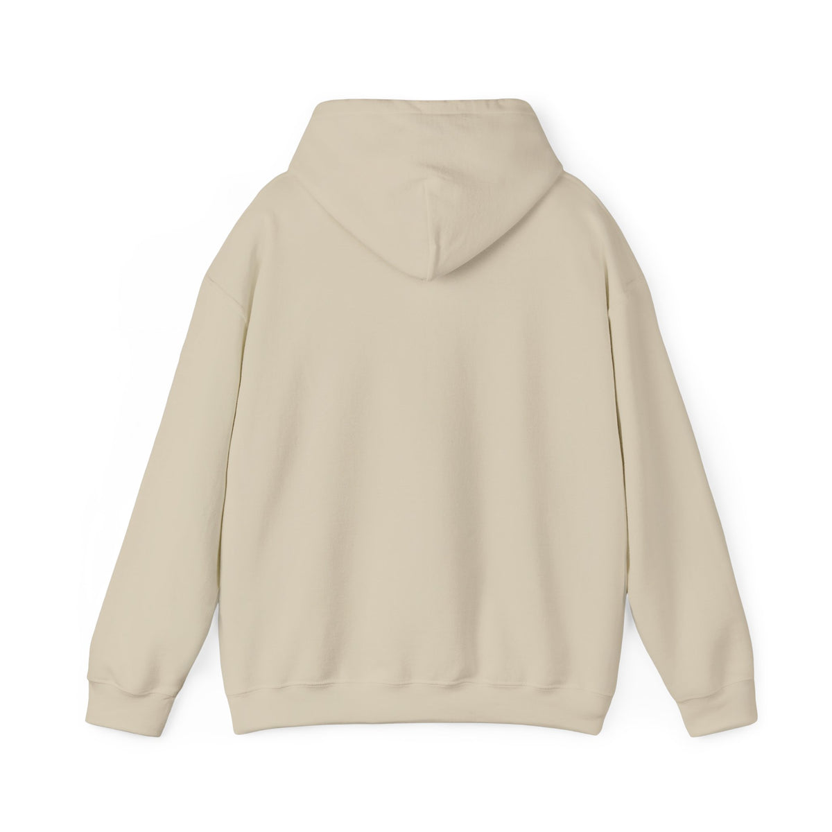 Hoodie — "Hello TSA, There is a Bomb in My Ass" Novelty Statement Hoodie