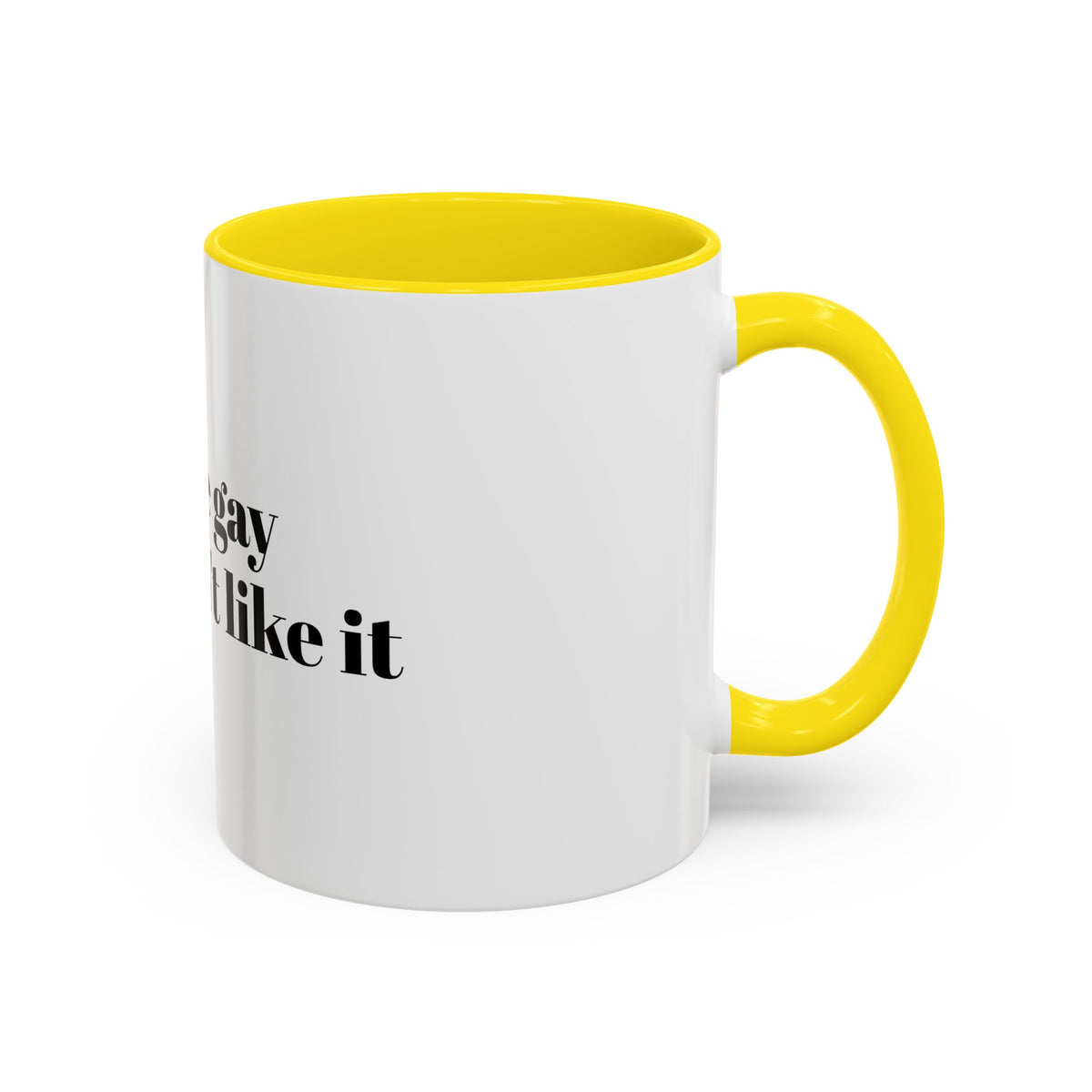 You're Gay and I Don't Like It Coffee Mug — Accent Black Handle 11/15oz