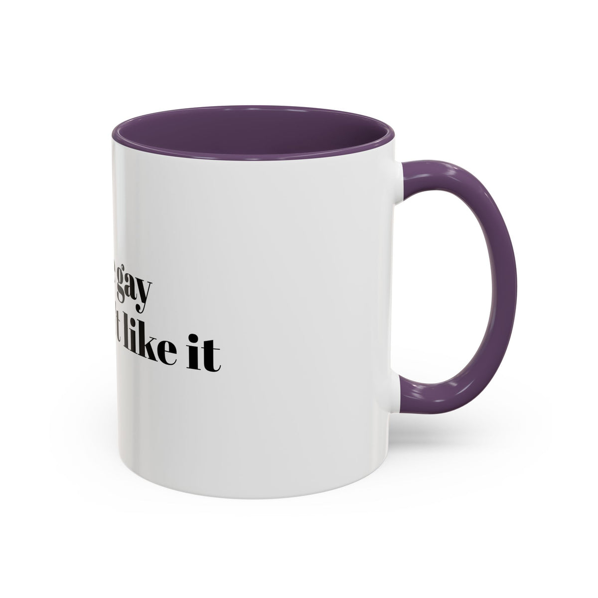You're Gay and I Don't Like It Coffee Mug — Accent Black Handle 11/15oz